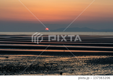夕暮れの御輿来海岸に染まる夕焼け 夕暮れの御輿来海岸に染まる夕焼け 137363206