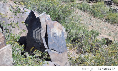 Stones With Petroglyphs In The Mountains 137363317