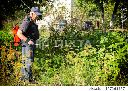 A summer resident treats plants in the summer from parasites. Plant protection from diseases, copy space for text, industry A summer resident treats plants in the summer from parasites. Plant protection from diseases, copy space for text, industry 137363327