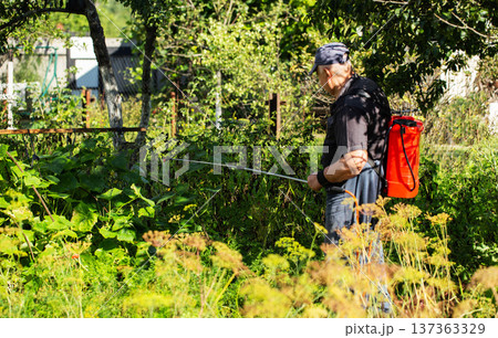 A summer resident treats plants in the summer from parasites. Plant protection from diseases, copy space for text, industry A summer resident treats plants in the summer from parasites. Plant protection from diseases, copy space for text, industry 137363329