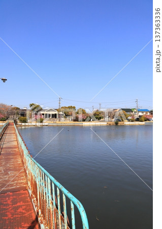 新堀川緑地のドラム缶橋 137363336