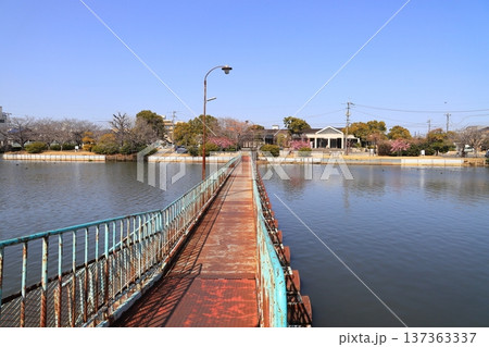 新堀川緑地のドラム缶橋 新堀川緑地のドラム缶橋 137363337