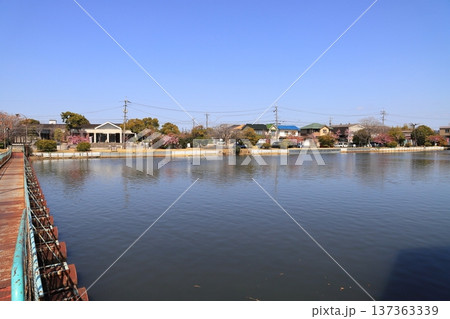 新堀川緑地のドラム缶橋 新堀川緑地のドラム缶橋 137363339
