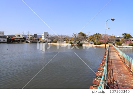 新堀川緑地のドラム缶橋 新堀川緑地のドラム缶橋 137363340