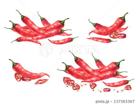 Watercolor red hot chili pepper set. Whole and cut pods round sliced with seeds. Spicy vegetable food seasoning. Hand drawn illustration on isolated white background for sauces label, menu, recipe. 137363367