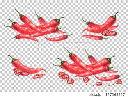 Watercolor red hot chili pepper set. Whole and cut pods round sliced with seeds. Spicy vegetable food seasoning. Hand drawn illustration on isolated white background for sauces label, menu, recipe. 137363367