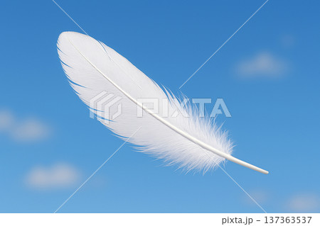 青空に舞う白い羽 137363537