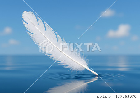 青空に舞う白い羽 137363970