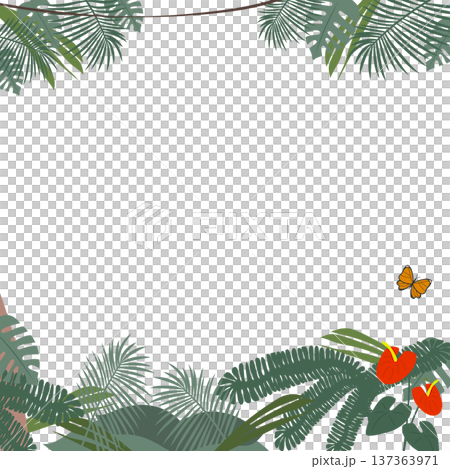 ジャングルのフレームイラスト 137363971
