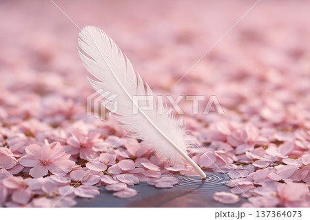 桜の絨毯に舞い降りた白い羽 137364073
