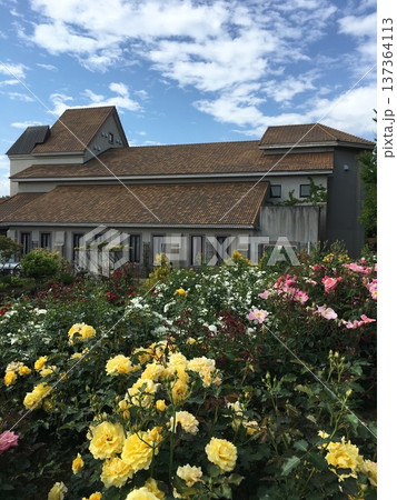 満開の薔薇に囲まれた洋館 137364113