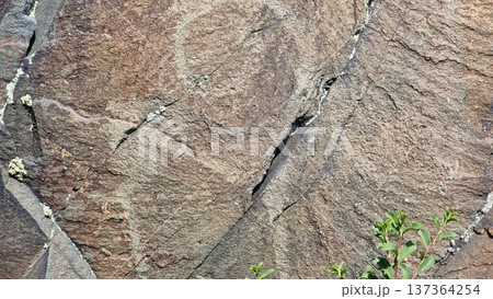Stone background texture. Stone with the image of the goat. 137364254