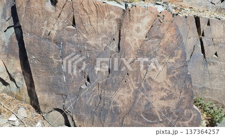Stones with petroglyphs. Rock with the image of the animals. 137364257