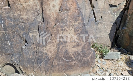 Stones with petroglyphs. Rock with the image of the animals. Stones with petroglyphs. Rock with the image of the animals. 137364258
