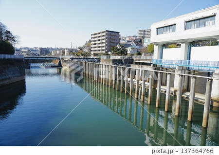 帷子川分水路 137364766