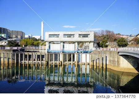 帷子川分水路 帷子川分水路 137364770