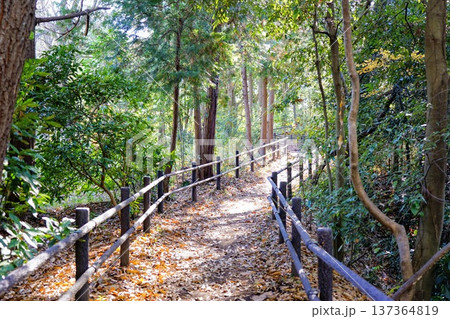 こども自然公園 137364819