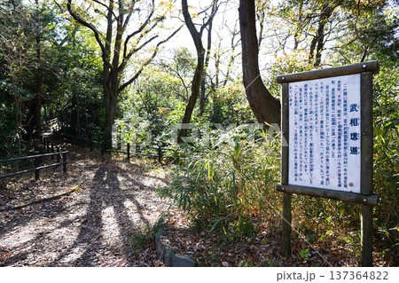 武相堺道 137364822