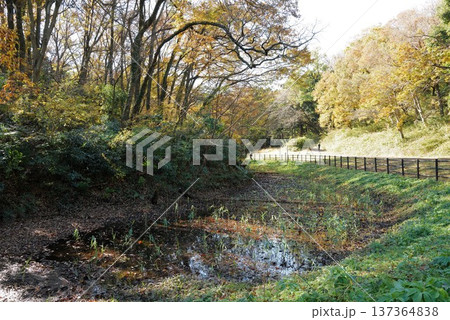 こども自然公園 こども自然公園 137364838