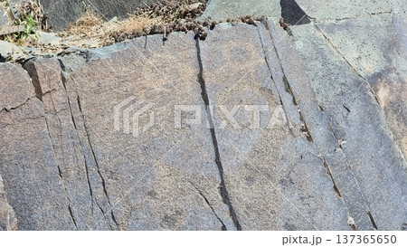 Stone wall texture background. Rocks with petroglyphs. 137365650