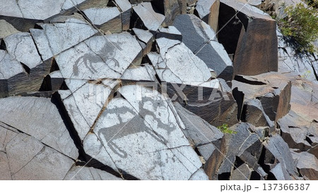 Texture of stones. Stones with petroglyphs. 137366387