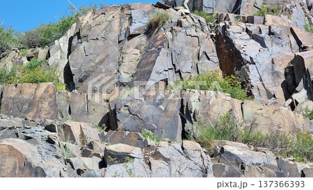 Rocks With Petroglyphs In The Mountains 137366393