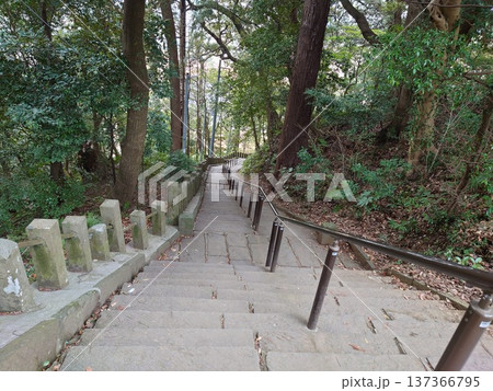 神社の階段 137366795