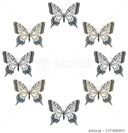 Spring_蝶‗ナミアゲハ 137366903