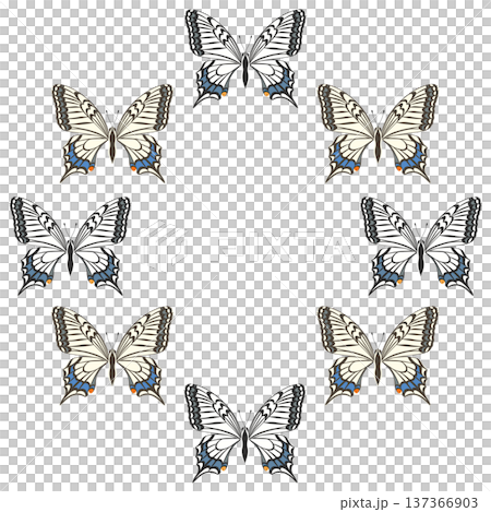 Spring_蝶‗ナミアゲハ 137366903