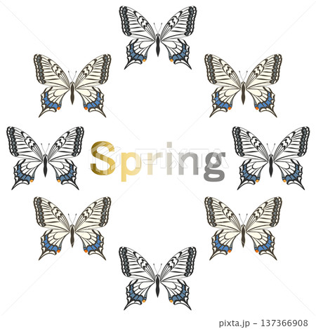 Spring_蝶‗ナミアゲハ Spring_蝶‗ナミアゲハ 137366908