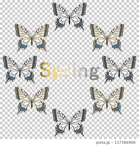 春蝶‗燕尾蝶 137366908