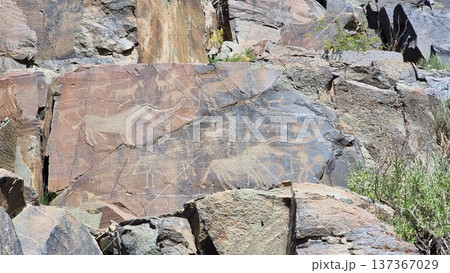 Rocks in the mountains. Stones with petroglyphs. Rocks in the mountains. Stones with petroglyphs. 137367029