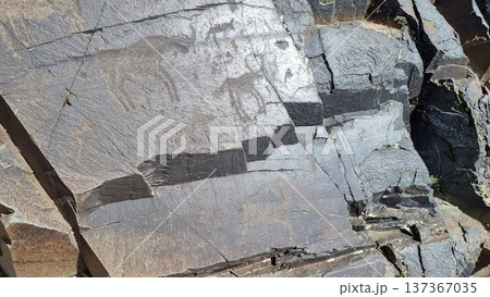 Texture of stones. Stones with petroglyphs. Texture of stones. Stones with petroglyphs. 137367035