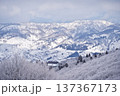 冬の野沢温泉スキー場の樹氷の森 137367173
