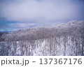 冬の野沢温泉スキー場の樹氷の林 137367176