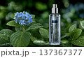 Hydrating Facial Mist Bottle on Fresh Green Leaves and Blue Hydrangea Flowers with Water Droplets in 137367377