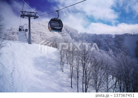 冬の野沢温泉スキー場　長坂ゴンドラ内からの眺め 137367451