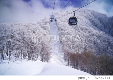 冬の野沢温泉スキー場　長坂ゴンドラ内からの眺め 137367453