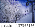 冬の野沢温泉スキー場　長坂ゴンドラ内からの眺め 137367456