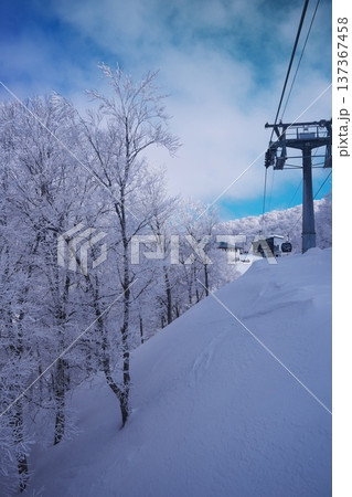 冬の野沢温泉スキー場　長坂ゴンドラ内からの眺め 137367458