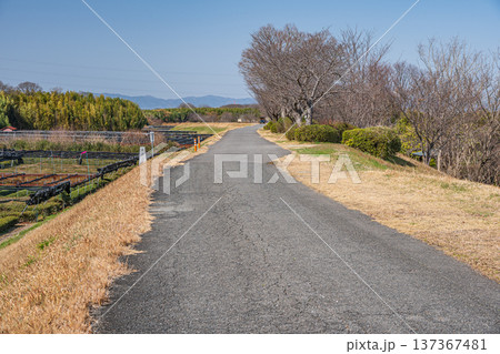 木津川右岸堤防上の遊歩道　京都府城陽市 137367481