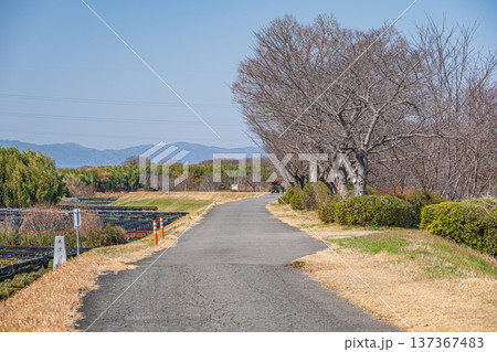 木津川右岸堤防上の遊歩道　京都府城陽市 137367483