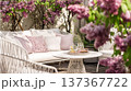 Outdoor patio furniture set with comfortable white sofa surrounded by blooming lilac bushes in springtime 137367722