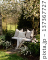 Cozy garden bench creating a tranquil outdoor retreat, surrounded by white spring blossoms and lush green foliage 137367727