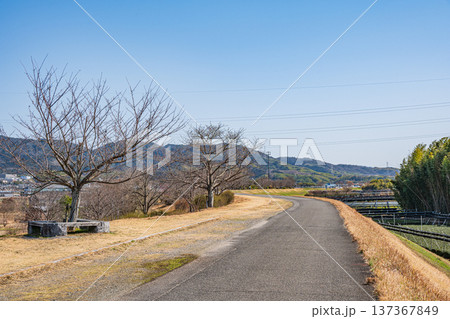 木津川右岸堤防上の遊歩道　京都府城陽市 137367849