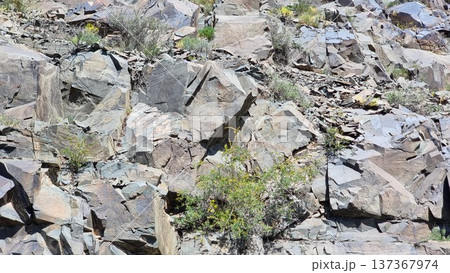 Beautiful view of the nature. Stones with petroglyphs. Beautiful view of the nature. Stones with petroglyphs. 137367974
