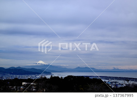静岡県 日本平夢テラスから冠雪の富士山 静岡県 日本平夢テラスから冠雪の富士山 137367995