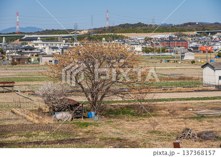 木津川右岸堤防上からの田園風景　京都府城陽市 137368157