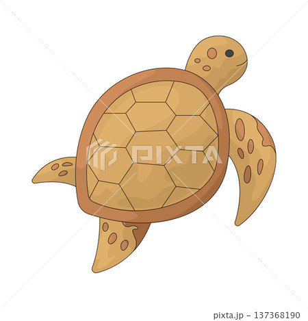 Illustration of turtle 137368190