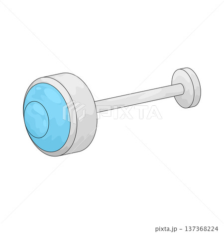 Illustration of Stud Earrings Illustration of Stud Earrings 137368224